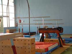 Arçons, barres parallèles et anneaux