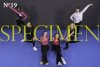 Specimen_Groupe-19