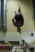 Gala_SPGym_Juin_2022-180